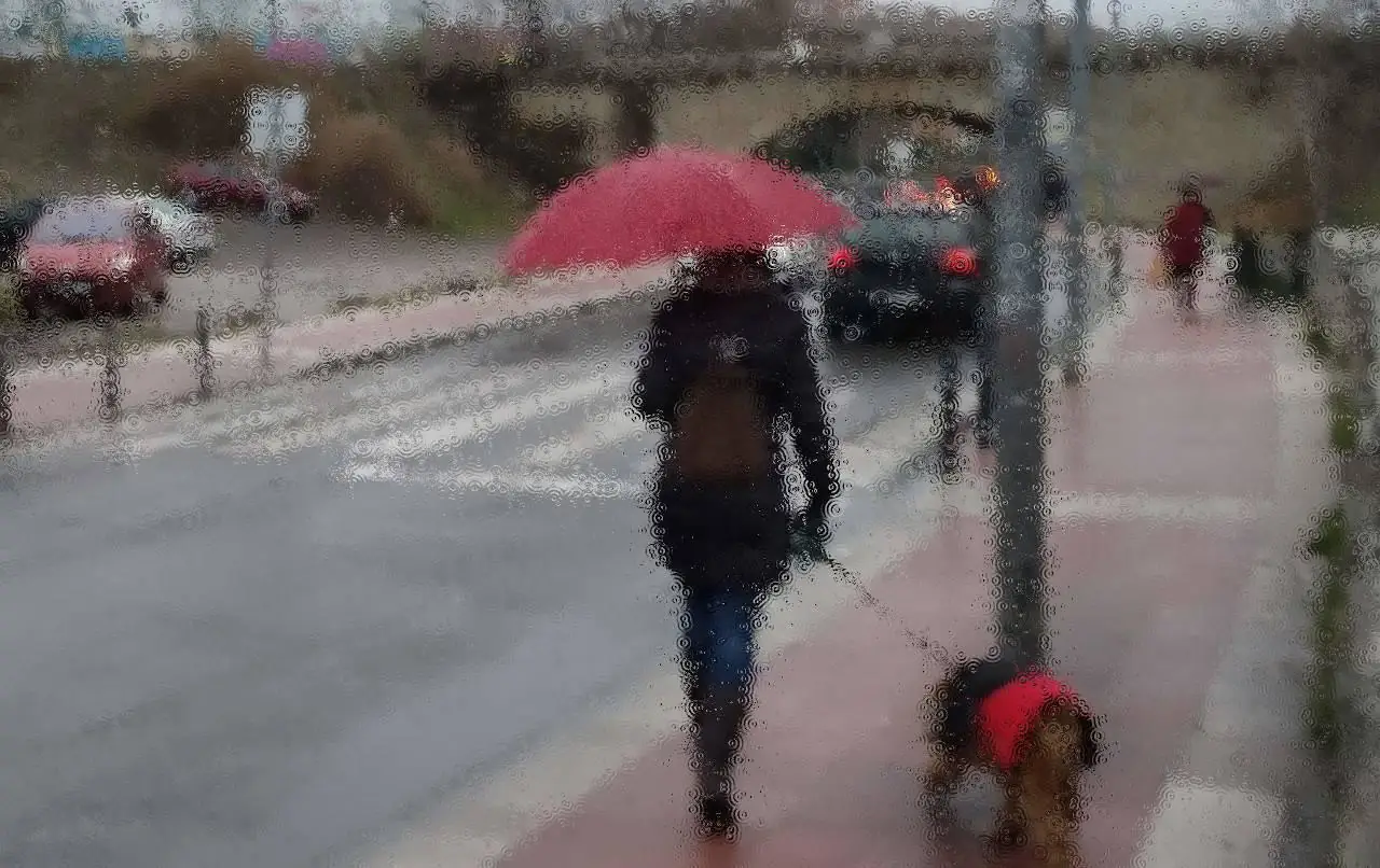 la dama y su perro